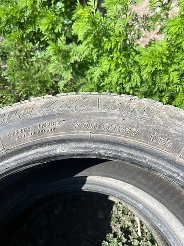шины 2255017: Шины 205 / 55 / R 17, Зима, Комплект, Легковые, Польша, Belshyna — 2