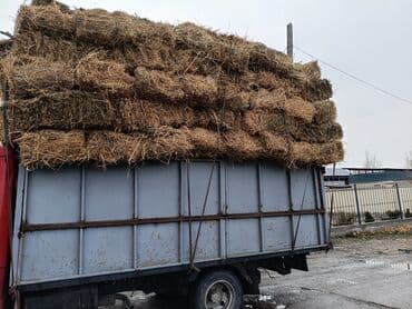 бирка для животных: Чоп аралаш патсеп беде камыш аралаш сатылат. доставка менен 220сомдон — 1