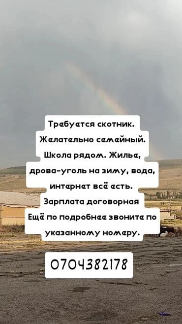сдаю кафе в бишкеке: Требуется сотрудник, Оплата Ежемесячно — 2