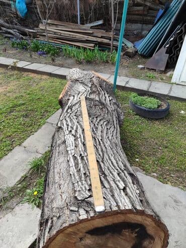 ДСП: Продаю 2 ствола ореха длина 2,40 и 210; диаметр 0,60. цена — 2