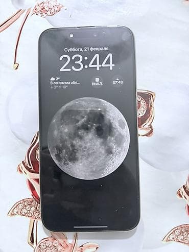 IPhone 15 Pro Max, 256 ГБ, Natural Titanium, Чехол, 86 % at lalafo.kg IPhone 15 Pro Max, 256 ГБ, Natural Titanium, Чехол, 86 %