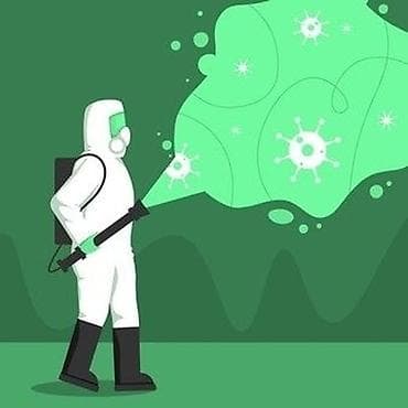 Клининговые услуги: Дезинфекция, дезинсекция, | Вирусы, микробы, Блохи, Клопы, | Офисы, Подъезды, Транспорт — 1