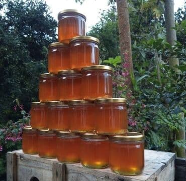 контейнер для меда: Токтогульский горный мёд в крупной таре - Натуральный мед в — 5