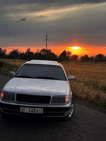 Audi 100: 1992 г., 2 л, Механика, Газ, Седан