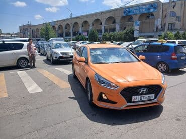 тамчы ысык кол: Hyundai Sonata: 2019 г., 2 л, Автомат, Газ, Седан — 5