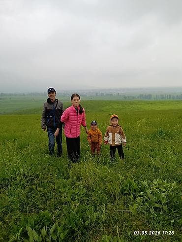 1к: 1 комната, Собственник, С мебелью полностью — 1