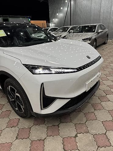 лисан машина: Dongfeng : 2026 г., Электромобиль, Кроссовер — 10