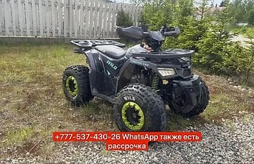 Квадроциклы: Квадроцикл Motoland WILD Sport Spirit - Тип: полноприводный/задний — 1