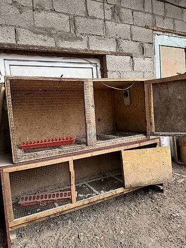 бишкек ит базар: Продам две клетки для птиц цена 7000 сом — 4