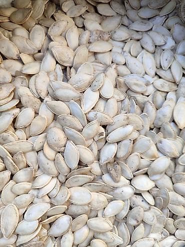 семена огурцов: Тыквенные семечки (неочищенные, крупные) - Натуральные семена тыквы — 4