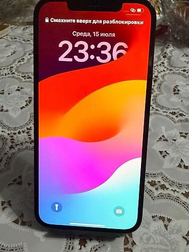 IPhone 12 Pro Max, Б/у, 256 ГБ, Pacific Blue, Чехол, 75 %