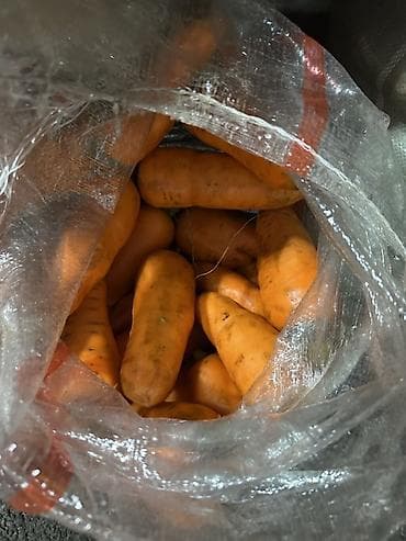 Морковь Оптом, Самовывоз