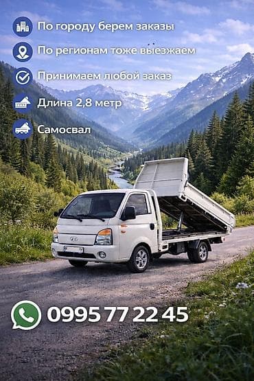 помпа бетона: Услуги мини-самосвала/грузоперевозки по городу)услуга портер услуги — 1