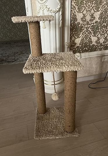 куплю хомяка с клеткой: Девочка, Приучена к лотку — 5