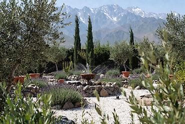 Автополив для газонов и садов — проектирование и монтаж под ключ -