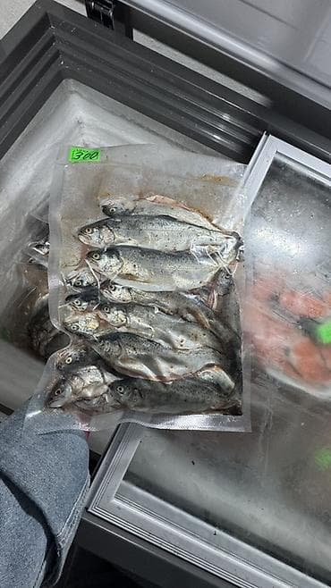 утиная грудка бишкек: СВЕЖАЯ ФОРЕЛЬ ЦЕНА 500 сом 
Отправка в регионы — 9