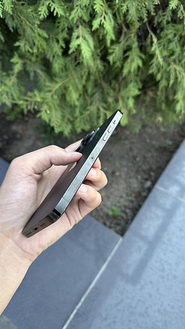 mac safe: IPhone 14 Pro макс, цвет Graphite - Экран Super Retina XDR (OLED) — 4
