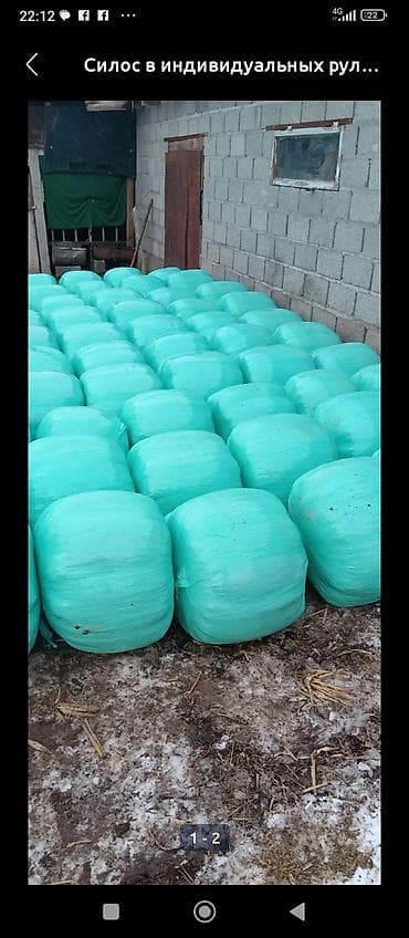 зиг машинка: Продаю силос зерной высший качества 10:сом с доставкой Ивановка — 1