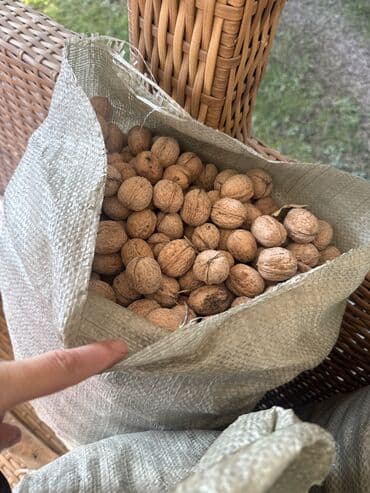 рыба вяленая: Грецкие орехи в скорлупе. - Натуральные, собранные вручную - Крупные — 4