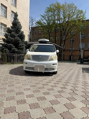 салазка: Toyota Alphard: 2003 г., 3 л, Автомат, Минивэн — 6