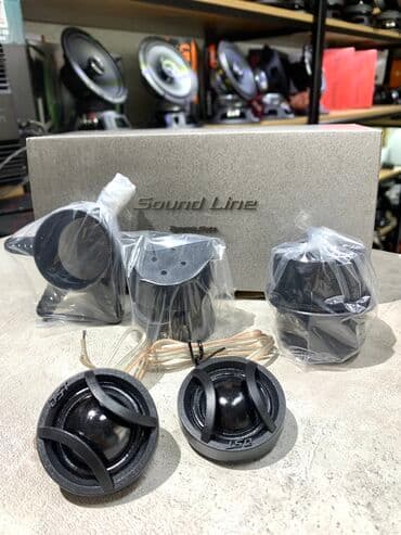 машны: Универсальные твиттеры с шёлковым куполом фирмы Dinamic State Модель — 2