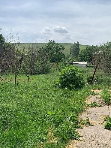 10 соток, Для строительства, Красная книга, Тех паспорт, Договор купли-продажи