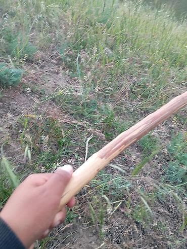 мед обувь: Умар тупой — 10