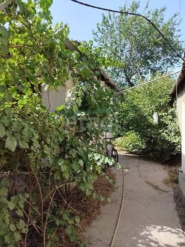 айни чапаева: 4 соток — 7