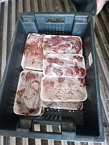 продаю кур несушек: Куриная печень 80сом/кг желудка 110сом/кг сердце 160сом/кг голова — 3