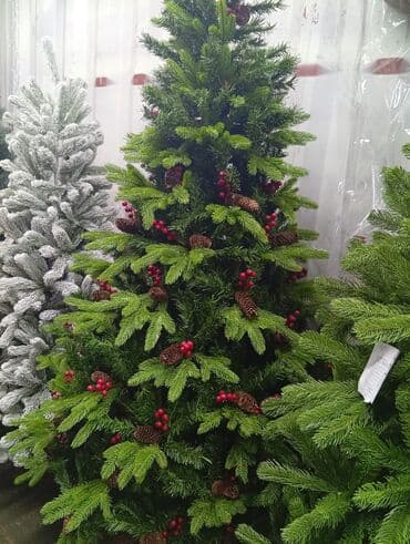 растения в аквариум купить: Все виды новогодних ёлок. от 0.6 до 4 метров. Украсит ваш дом — 4