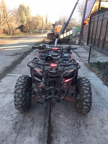 мото квадрацикл: Мощный квадроцикл, предназначенный для передвижения по пересеченной — 3