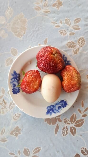 купить семена люцерны и эспарцета: Продаю саженцы клубники. Сорт альбион, гигантелла. Ремонтантная — 1