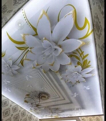 Туристические услуги: Натяжной потолок Глянцевое, Матовое, 3D потолки Гарантия, Бесплатная консультация — 8