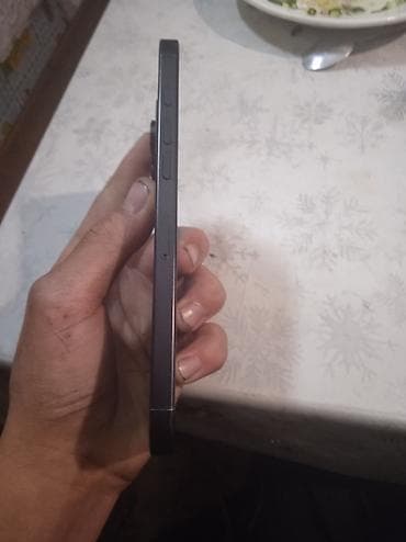 айыон 12: IPhone 16 Pro Max, Б/у, 1 ТБ, Черный, Защитное стекло, 100 % — 6