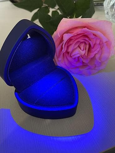 кольцовое лампа: Коробка — 5