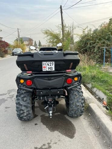 гидра усилитель: Квадроцикл Бензин, 1000 куб. см, Чоңдор үчүн — 3