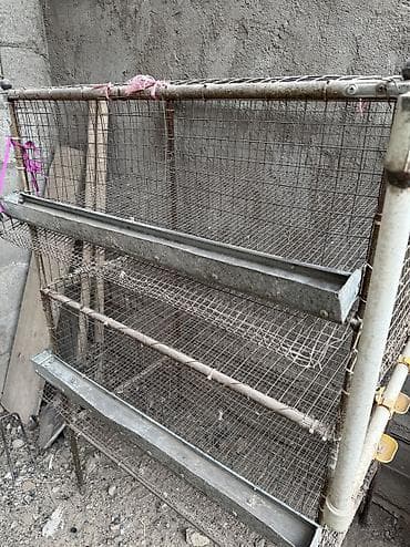 охотничьи собаки: Продаю клетку для перепел — 5