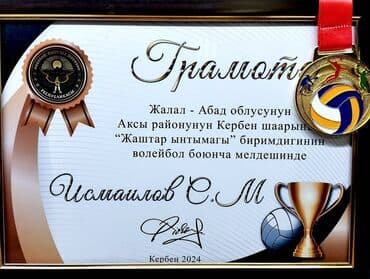 чехол для документов: Грамоты, дипломы, сертификаты с рамкой и без с Вашим текстом! Дизайн — 3