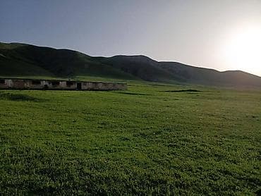 Farm КРС, 50 соток, Действующий, Без оборудования, Электричество, Холодная вода