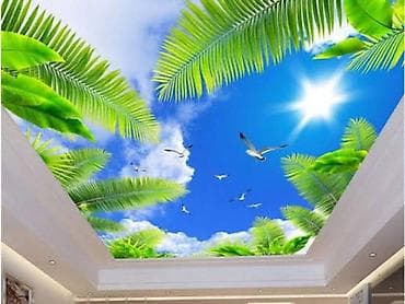 iphone se1: Натяжной потолок 3D потолки, Глянцевое, Матовое Бесплатная консультация, Бесплатный замер, Гарантия — 4