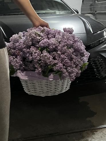 корзины на той: Сирень на корзине 🌸 Срезана сегодня утром, свежая 51 веток Пока — 2