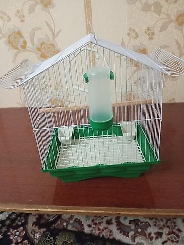 кошки продаются: Клетка для попугаи и канарейки — 5