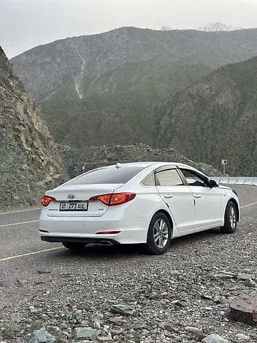 Hyundai Sonata: 2016 г., Газ, Седан — 8