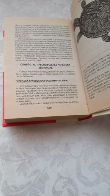 велик на титановых дисках: Полная Энциклопедия Аквариумиста — 5