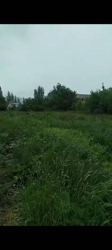 участки дачные: 20 соток, Для строительства, Тех паспорт, Договор купли-продажи, Красная книга — 2