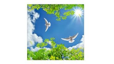 требуются монтажники натяжных потолков: Натяжной потолок 3D потолки, Глянцевое, Матовое Монтаж, Гарантия, Демонтаж — 4