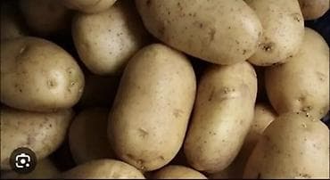 галиштин уй: Картошка — 1