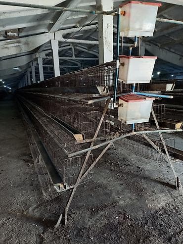 Продаю клетки для кур-несушек комплект на 18000 мест. В комплекте