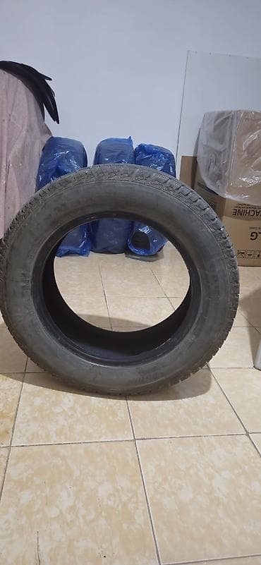 will cypha: Зимние шины Nankang IceMax RW501 - Тип: фрикционные (липучки), зимние — 7