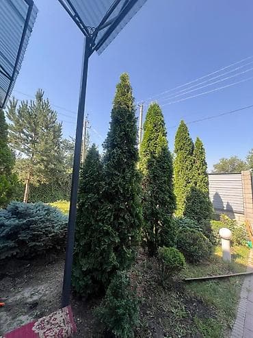 5: 🏡 Продается эксклюзивный особняк рядом с парком Ынтымак Дом — 5